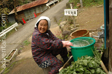 Kumano