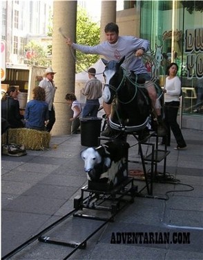 Calf_Roping