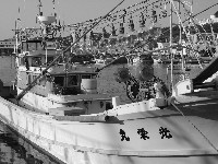 Squid_Fishing_Boat