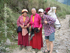 tibetan